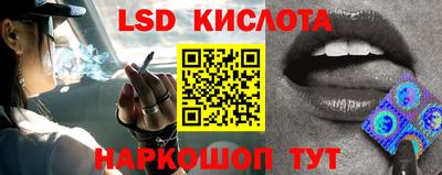jwh Сланцы