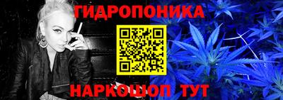 jwh Сланцы